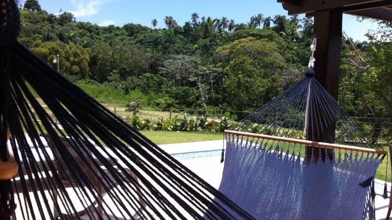 Photo of Others in Puerto Bahia