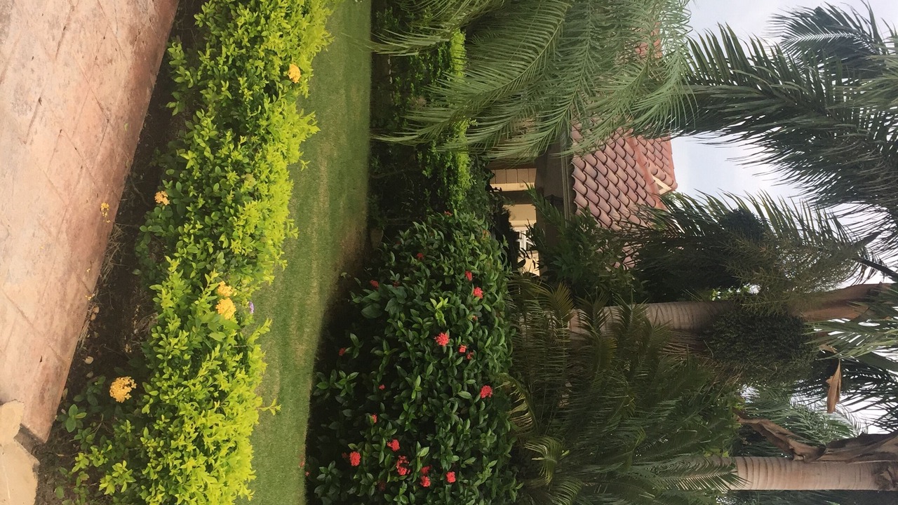 Photo of Outdoor in Juan Dolio