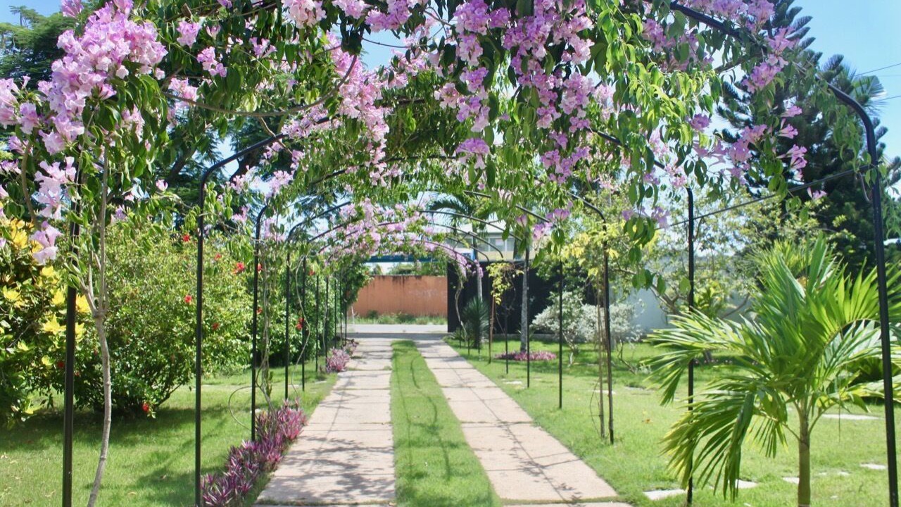 Photo of Outdoor in Bella Vista