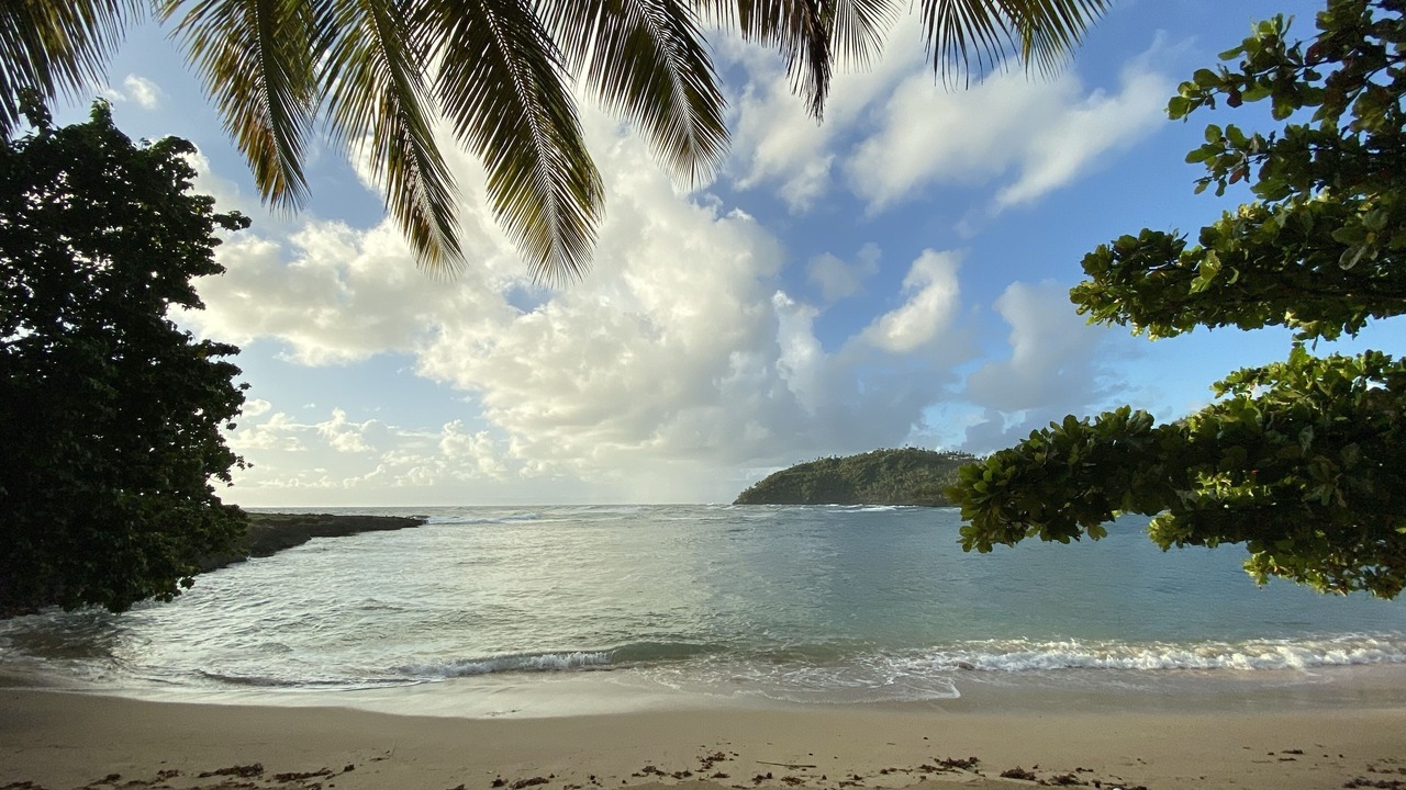 Photo of Others in Samana
