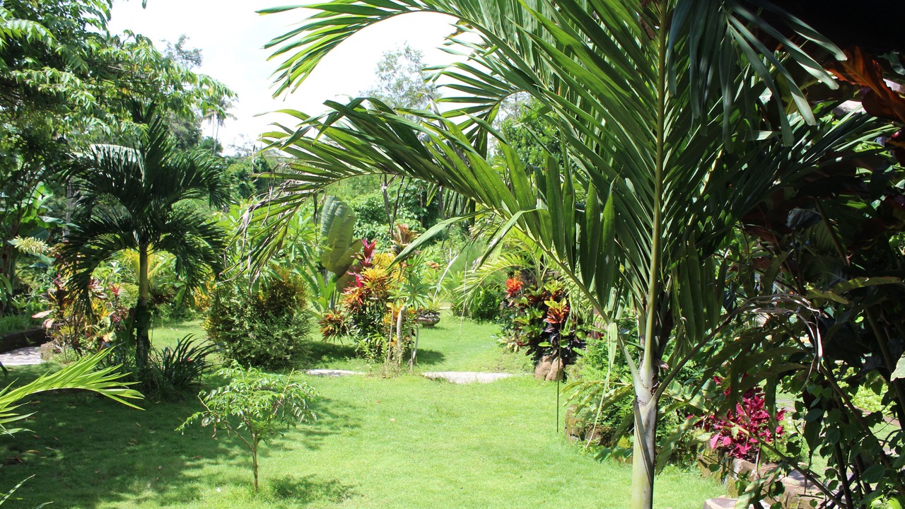 Photo of Outdoor in Lodtunduh