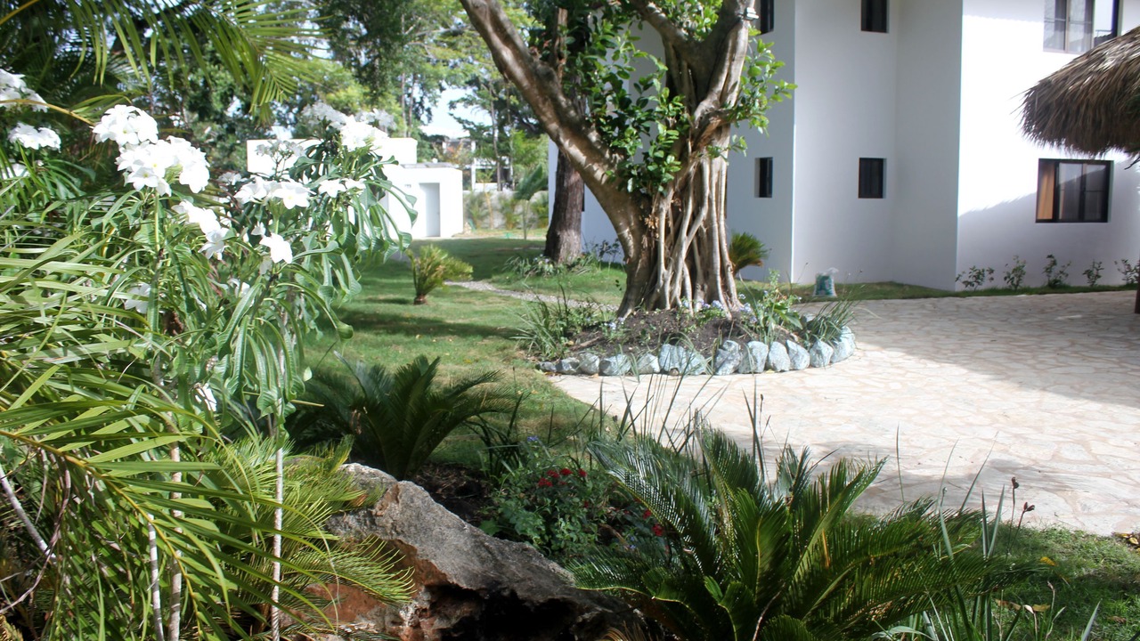 Photo of Outdoor in Playa Chiquita