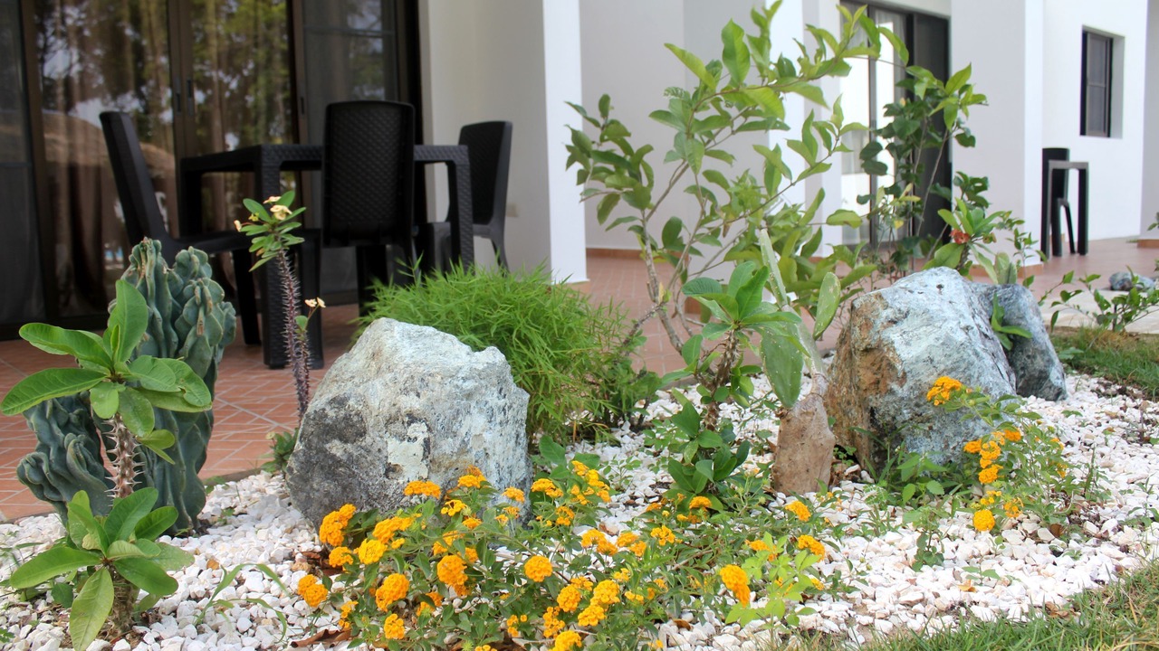 Photo of Outdoor in Playa Chiquita