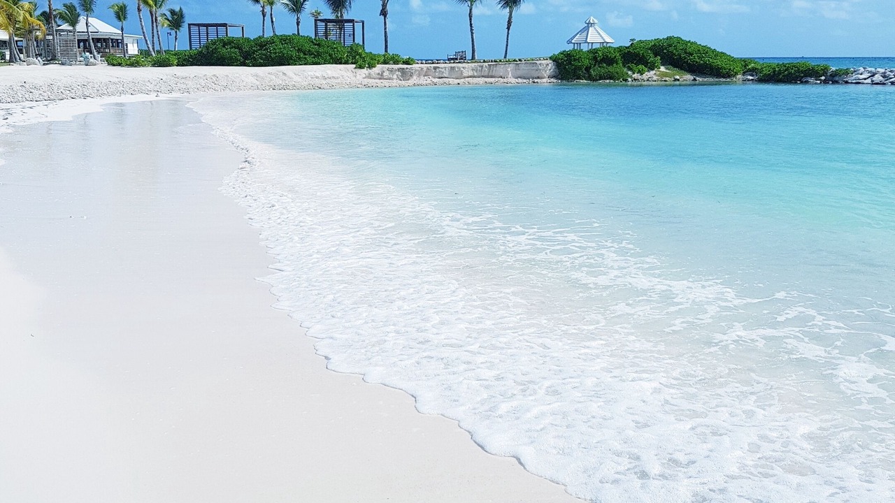 Photo of Others in Cap Cana Marina