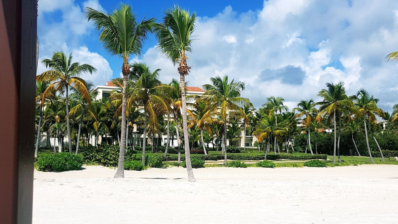 Photo of Others in Cap Cana Marina