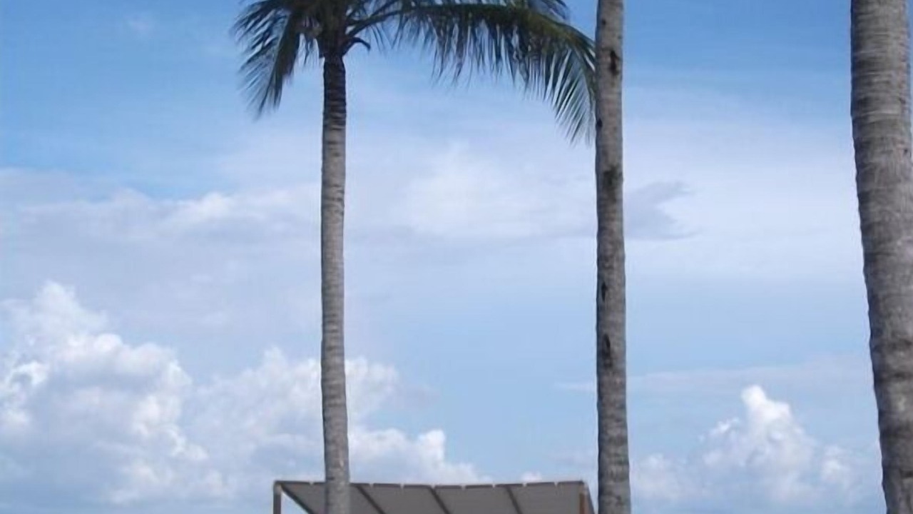 Photo of Others in Cap Cana Marina