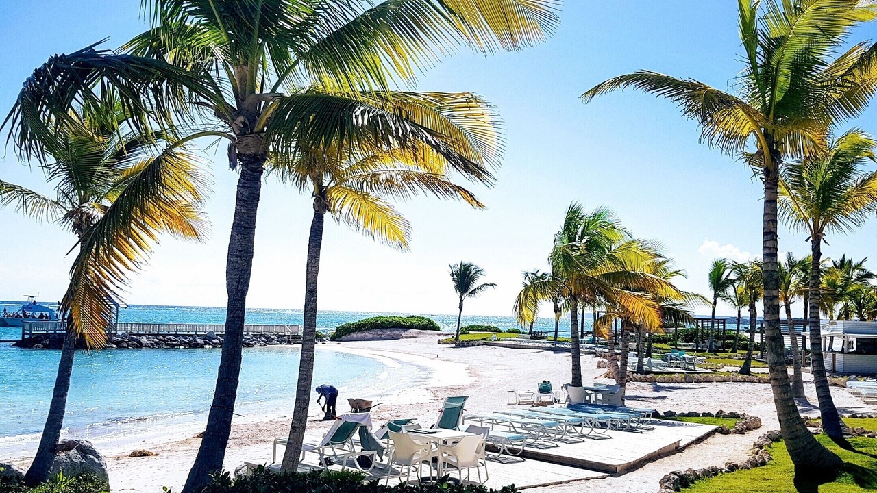 Photo of Others in Cap Cana Marina
