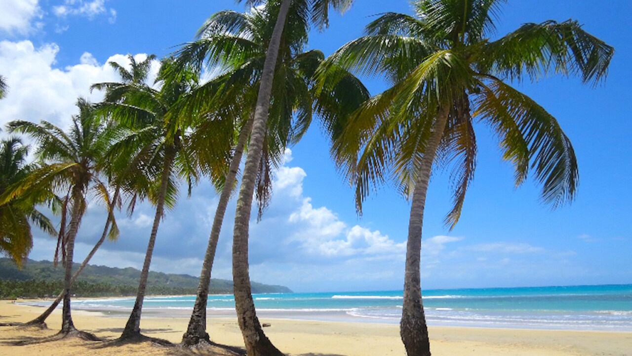 Photo of Others in Las Terrenas