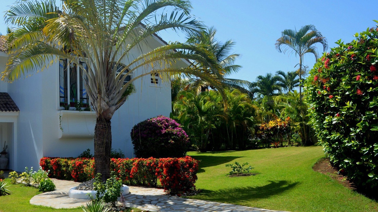 Photo of Outdoor in La Mulata