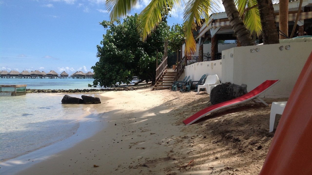 Photo of Others in Pihaena