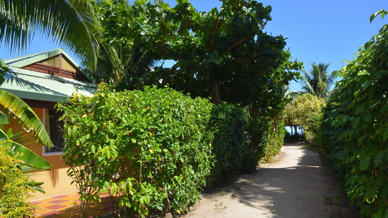 Photo of Others in Pihaena