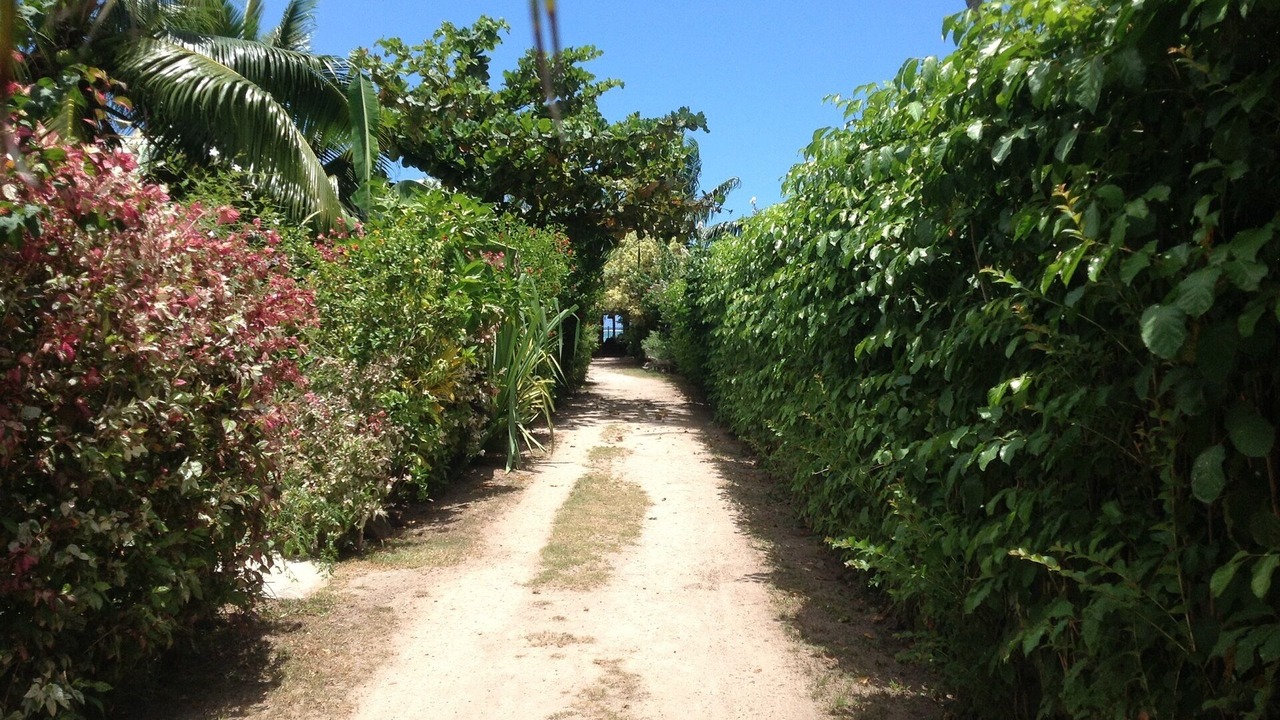Photo of Others in Pihaena