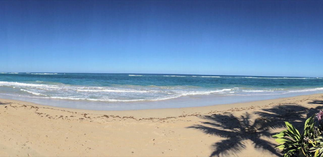 Photo of Others in Cabarete