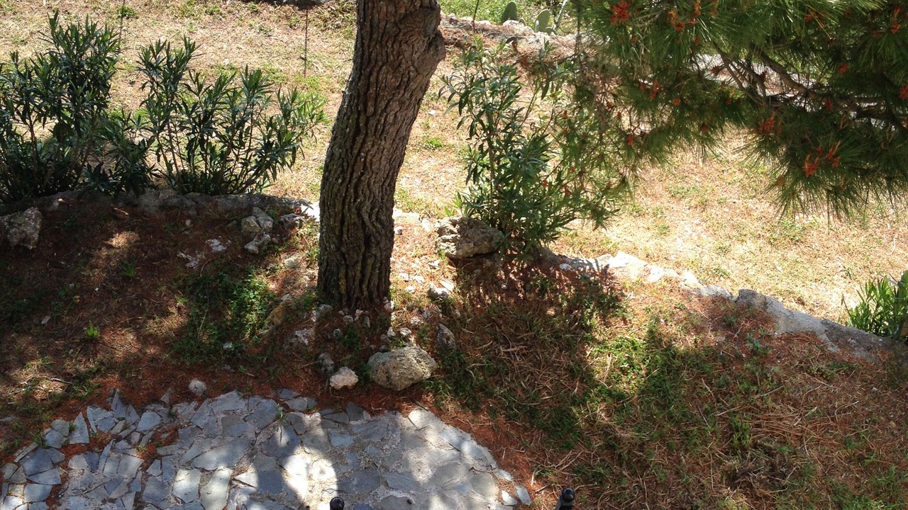 Photo of Others in Parisata