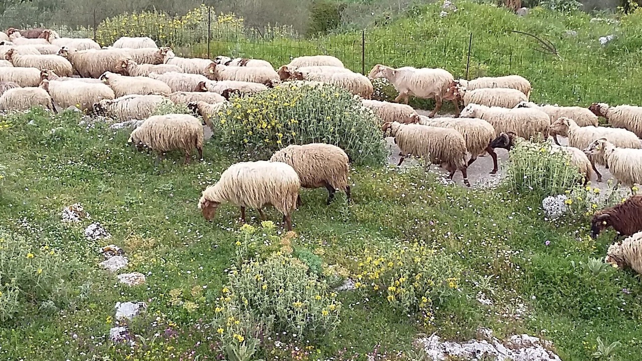 Photo of Outdoor in Parisata