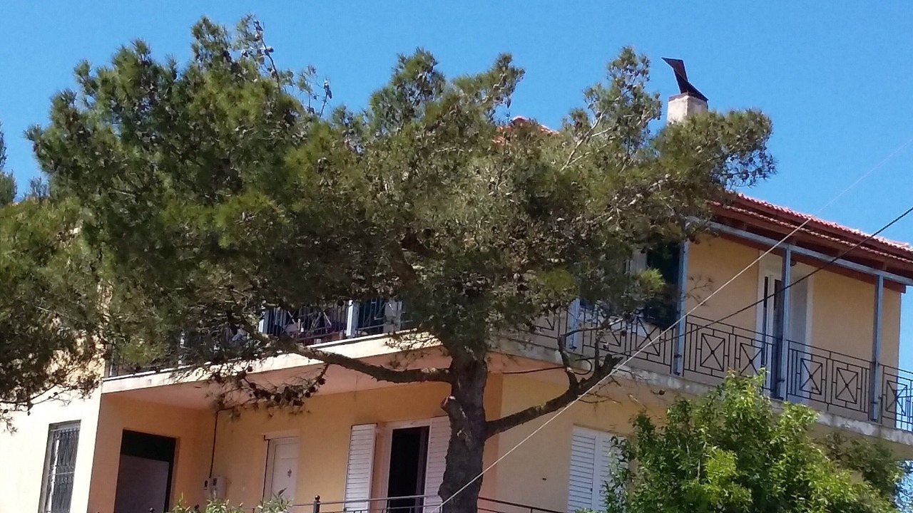 Photo of Others in Parisata
