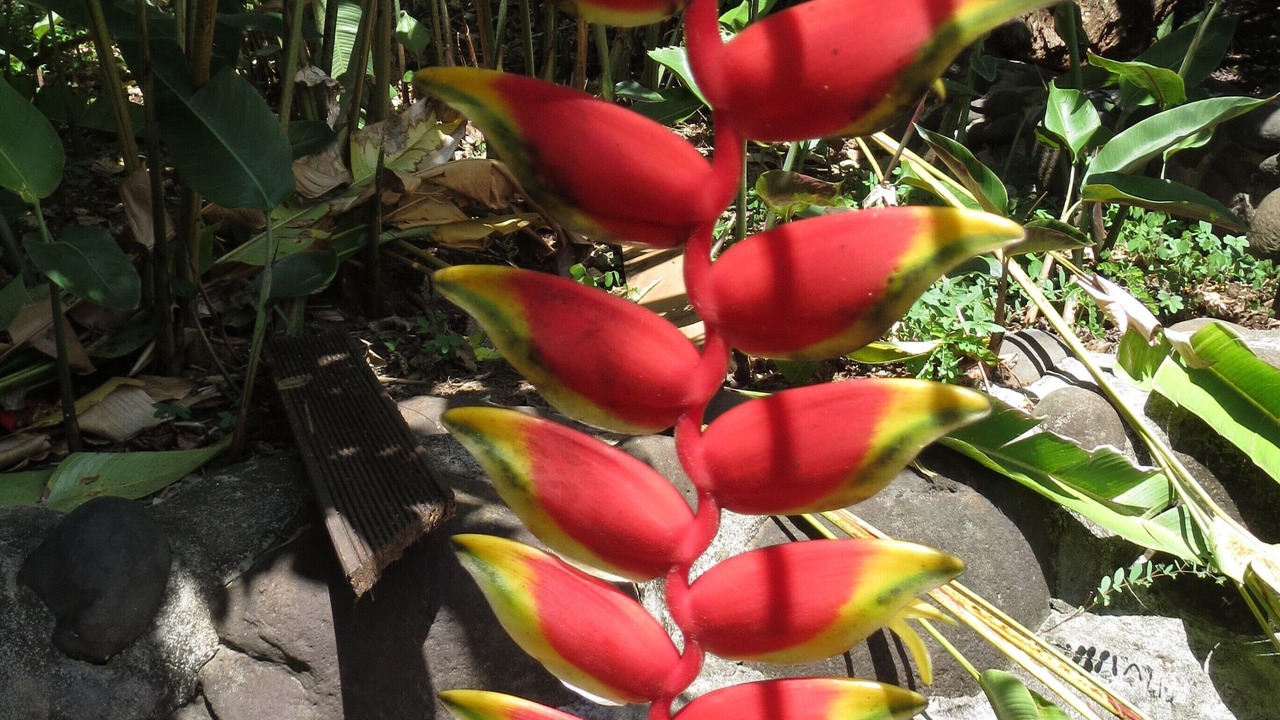 Photo of Outdoor in Matei