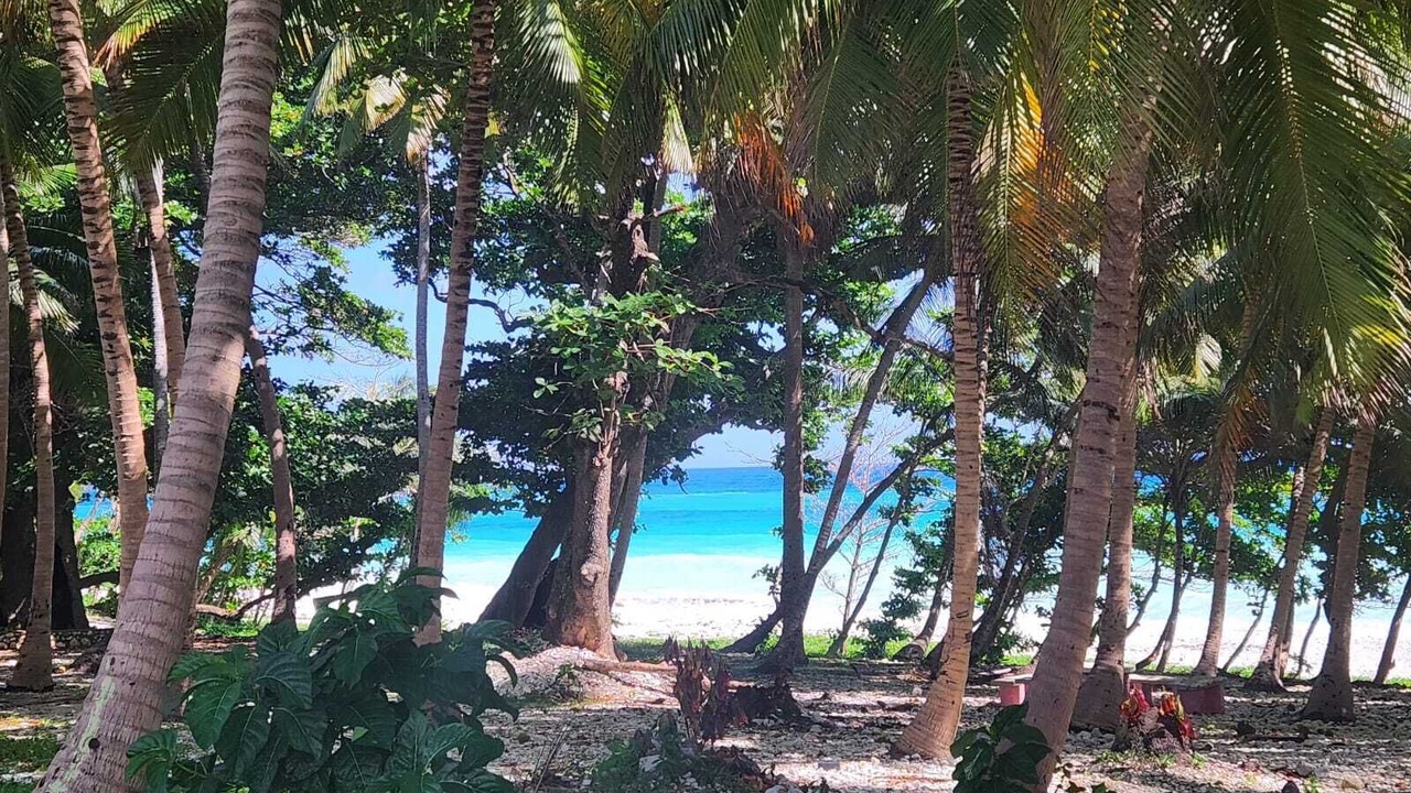 Photo of Others in Paraiso