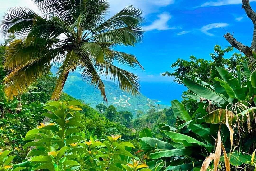 Photo of Others in Paraiso
