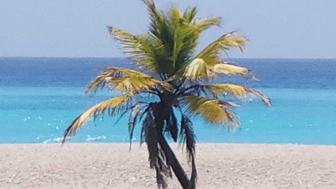 Photo of Others in Paraiso