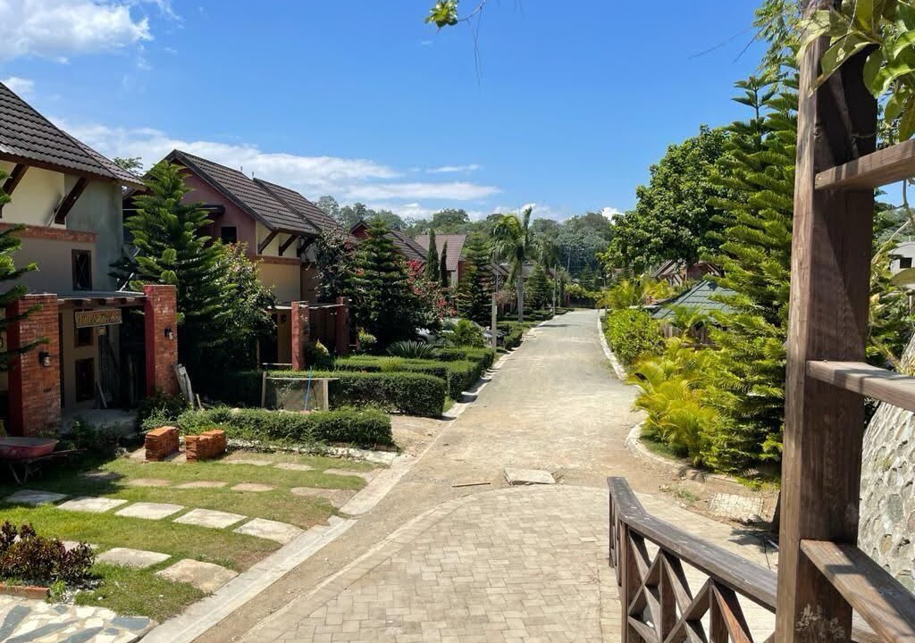 Photo of Outdoor in La Joya