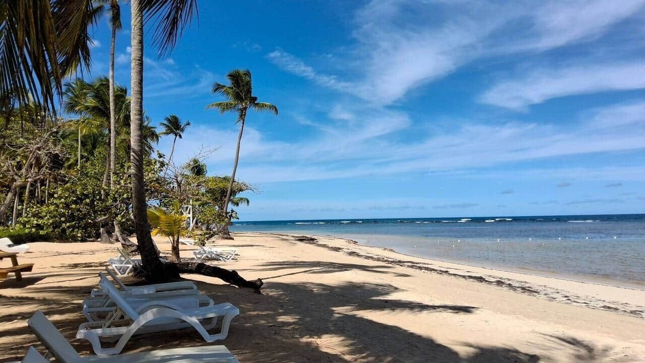Photo of Others in Puerto Bahia