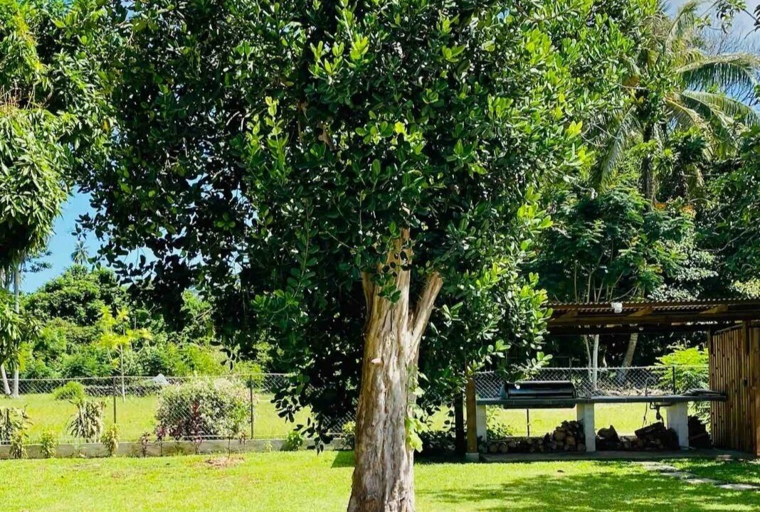 Photo of Outdoor in Moorea-Maiao