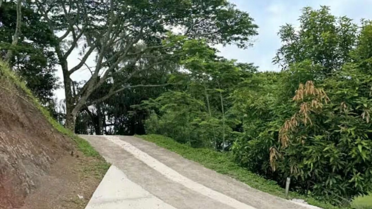 Photo of Others in Uturoa