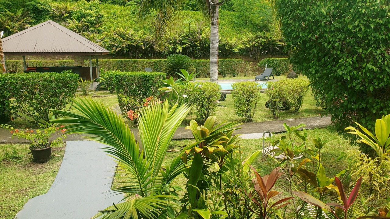 Photo of Outdoor in Teahupoo