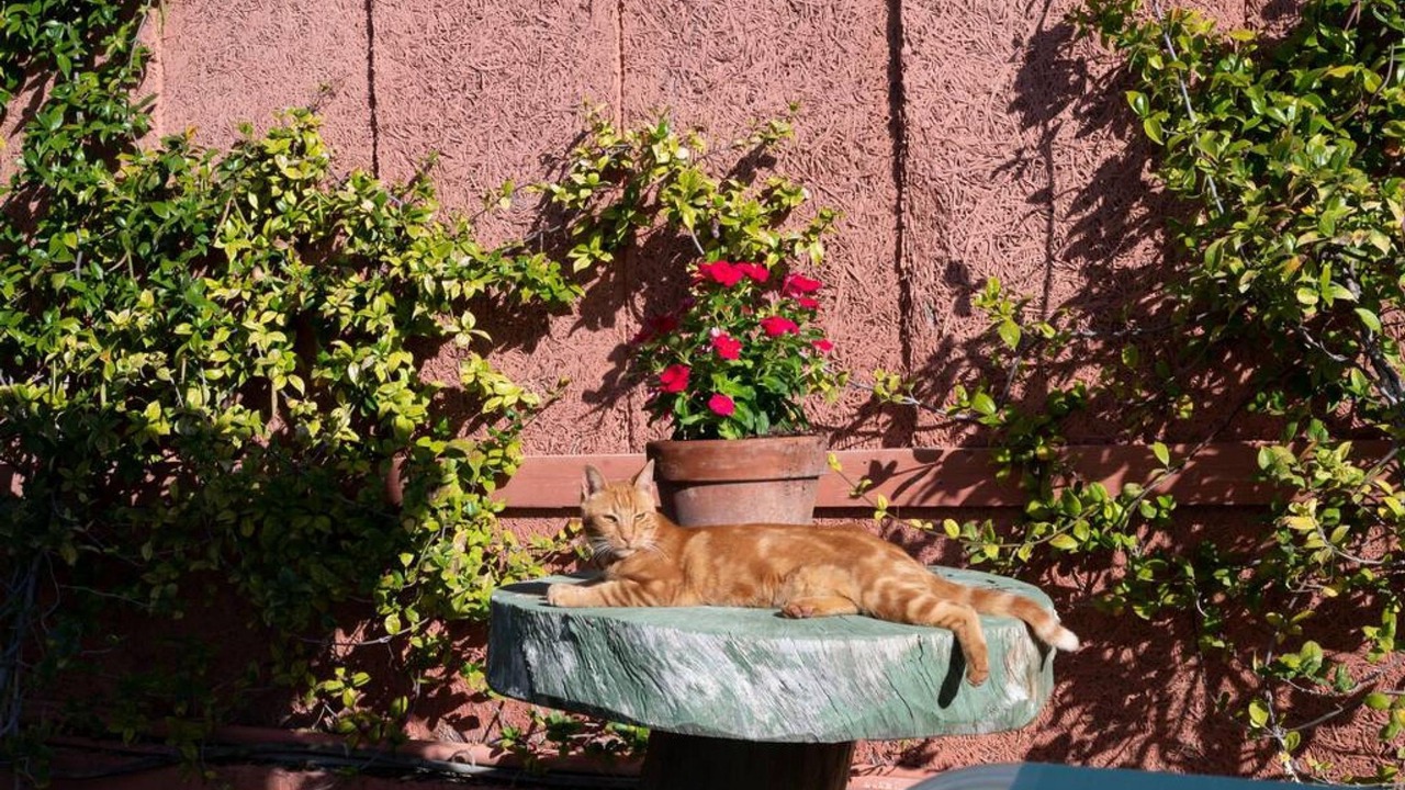 Photo of Outdoor in Chalcis