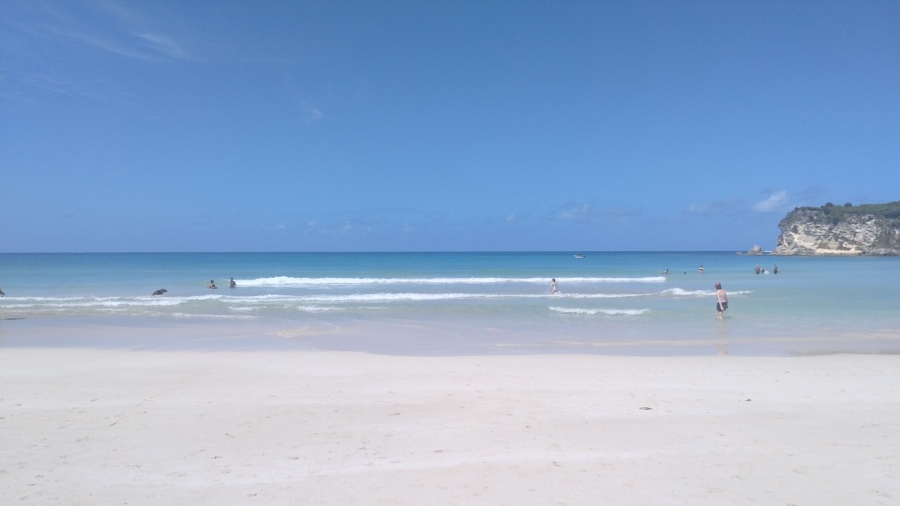 Photo of Others in Playa Bibijagua