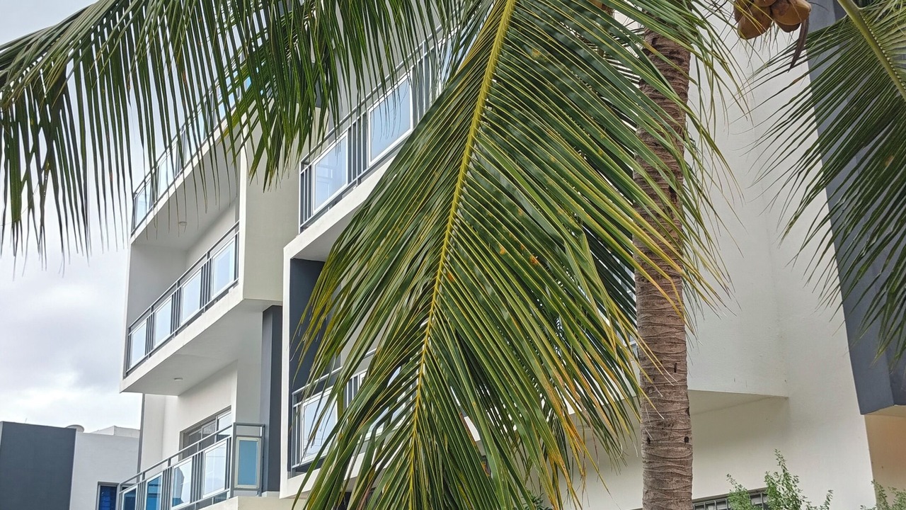 Photo of Outdoor in Playa Bibijagua