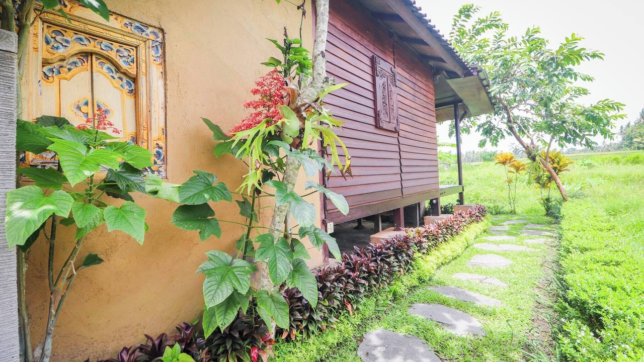 Photo of Outdoor in Petulu