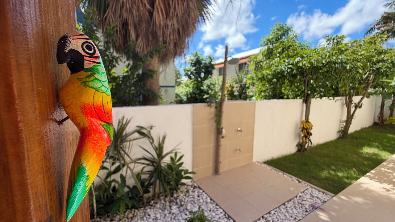 Photo of Outdoor in Playa Bibijagua