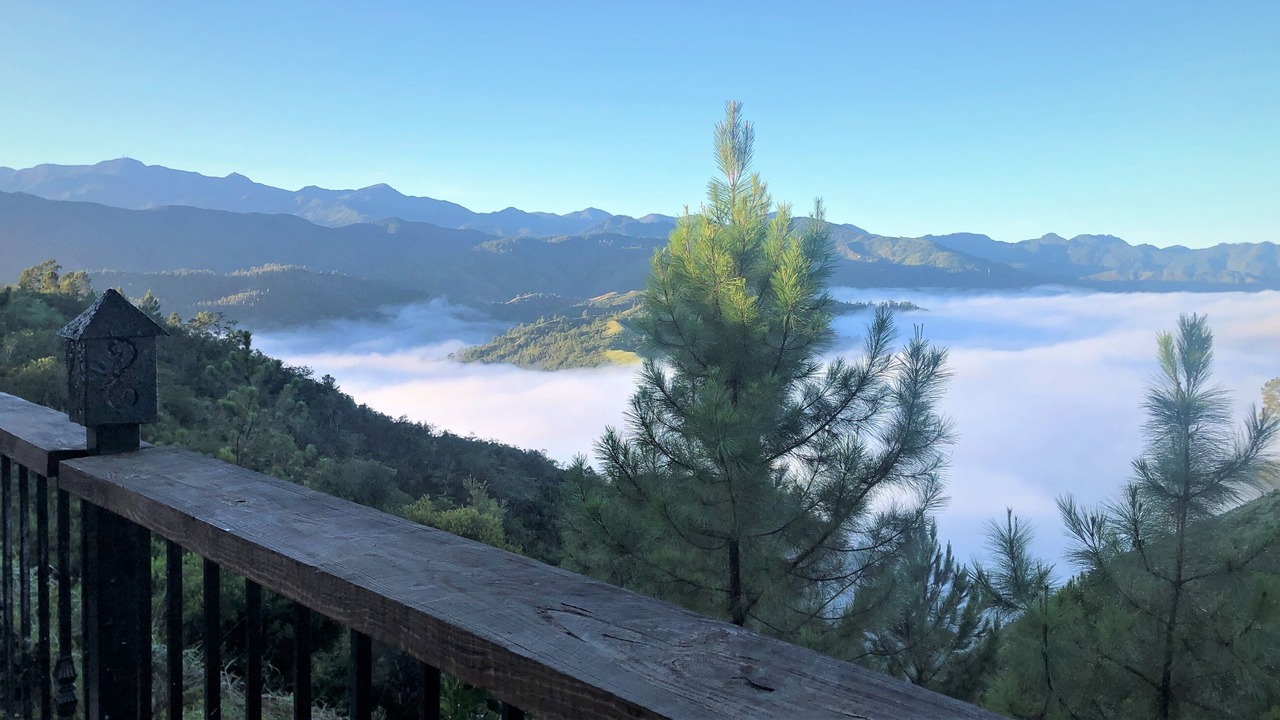 Photo of Outdoor in Constanza