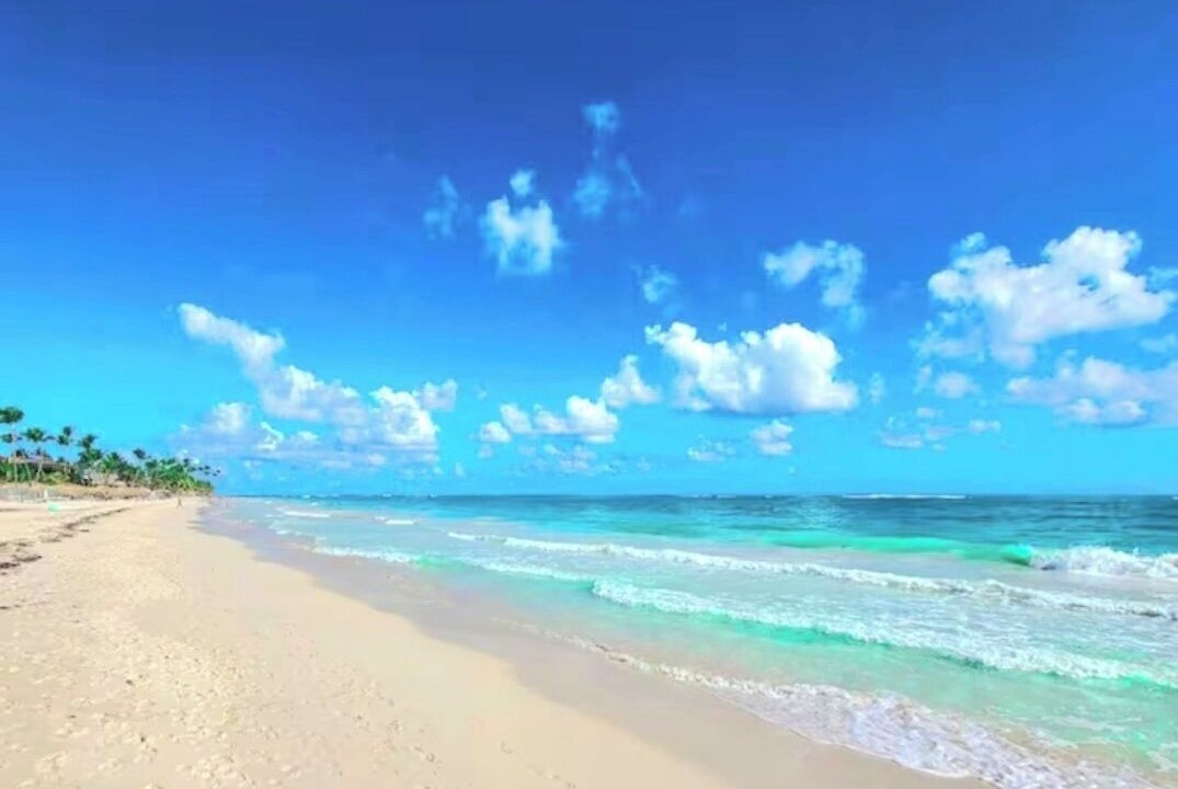 Photo of Others in Punta Cana