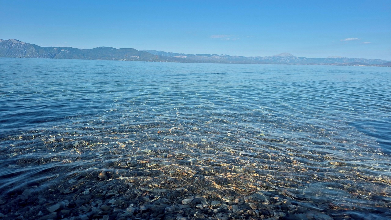 Photo of Others in Skroponeria