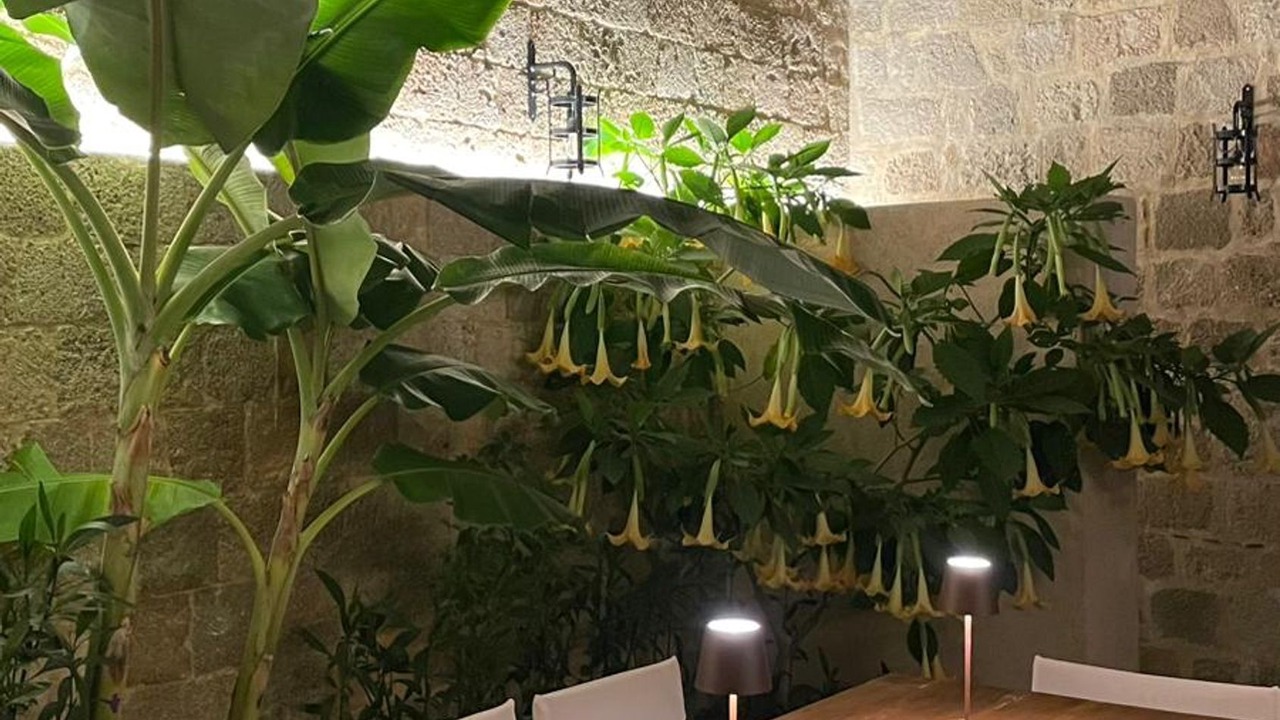 Photo of Outdoor in Rhodes Old Town