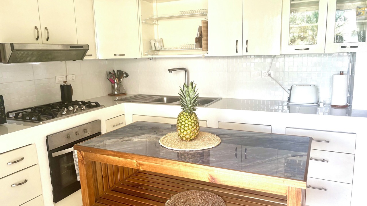 Photo of Kitchen in Las Terrenas