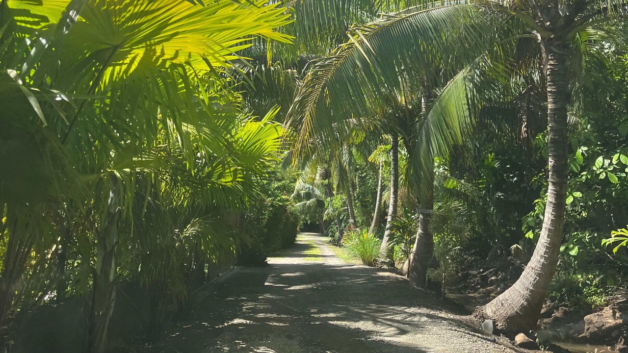 Photo of Others in Pihaena