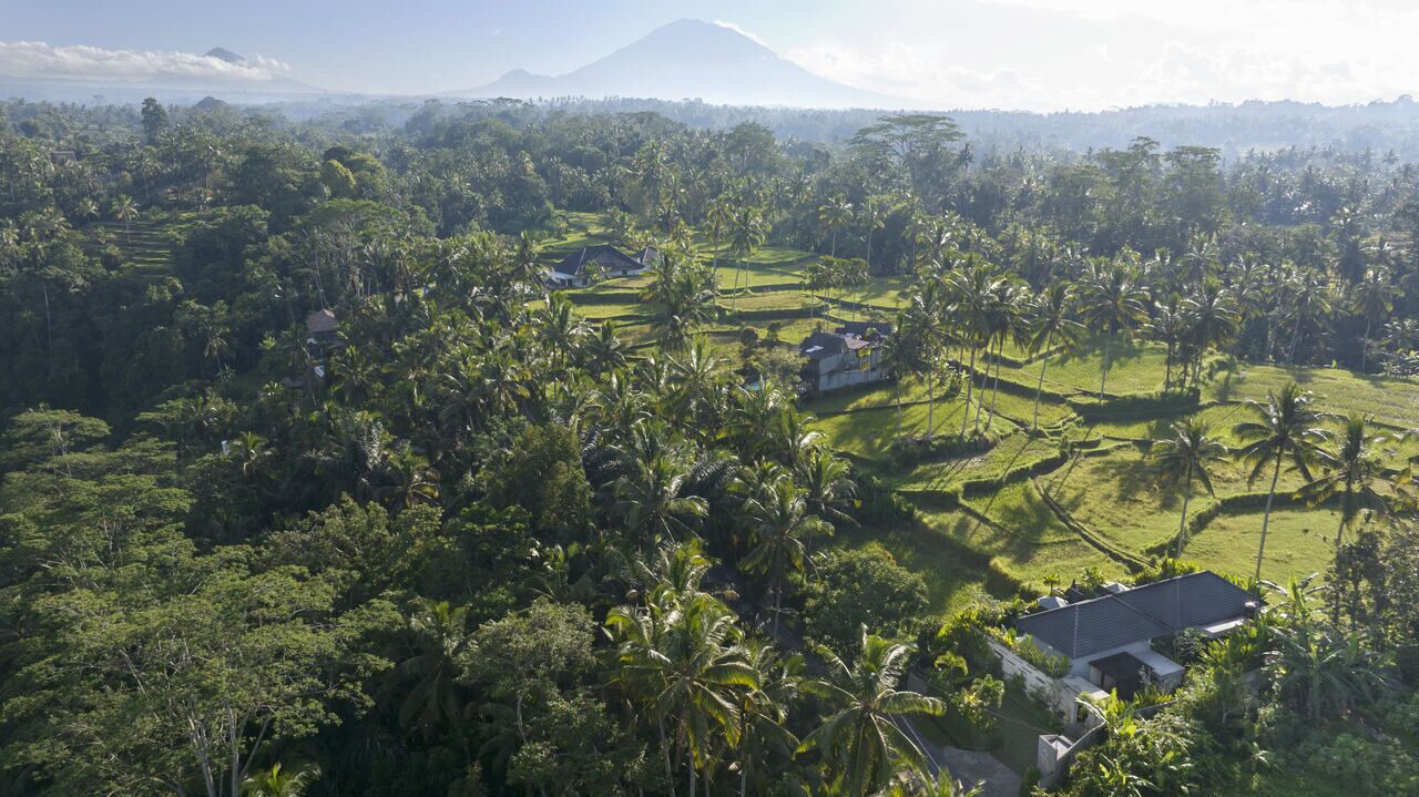 Photo of Outdoor in Tegallalang
