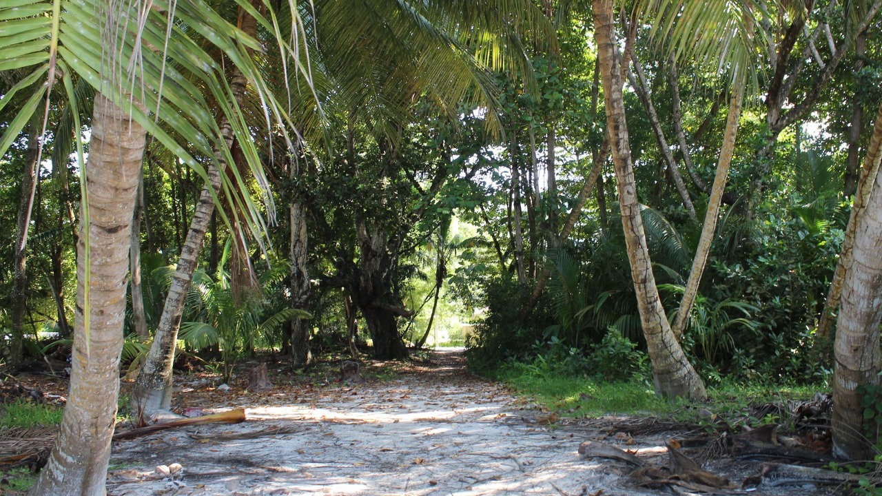 Photo of Others in Grand Anse