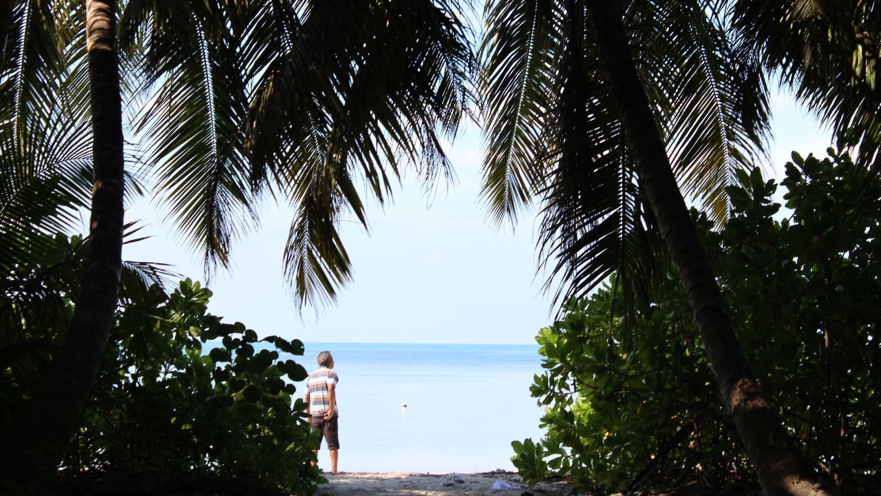 Photo of Others in Grand Anse