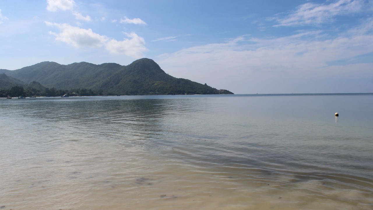 Photo of Others in Grand Anse