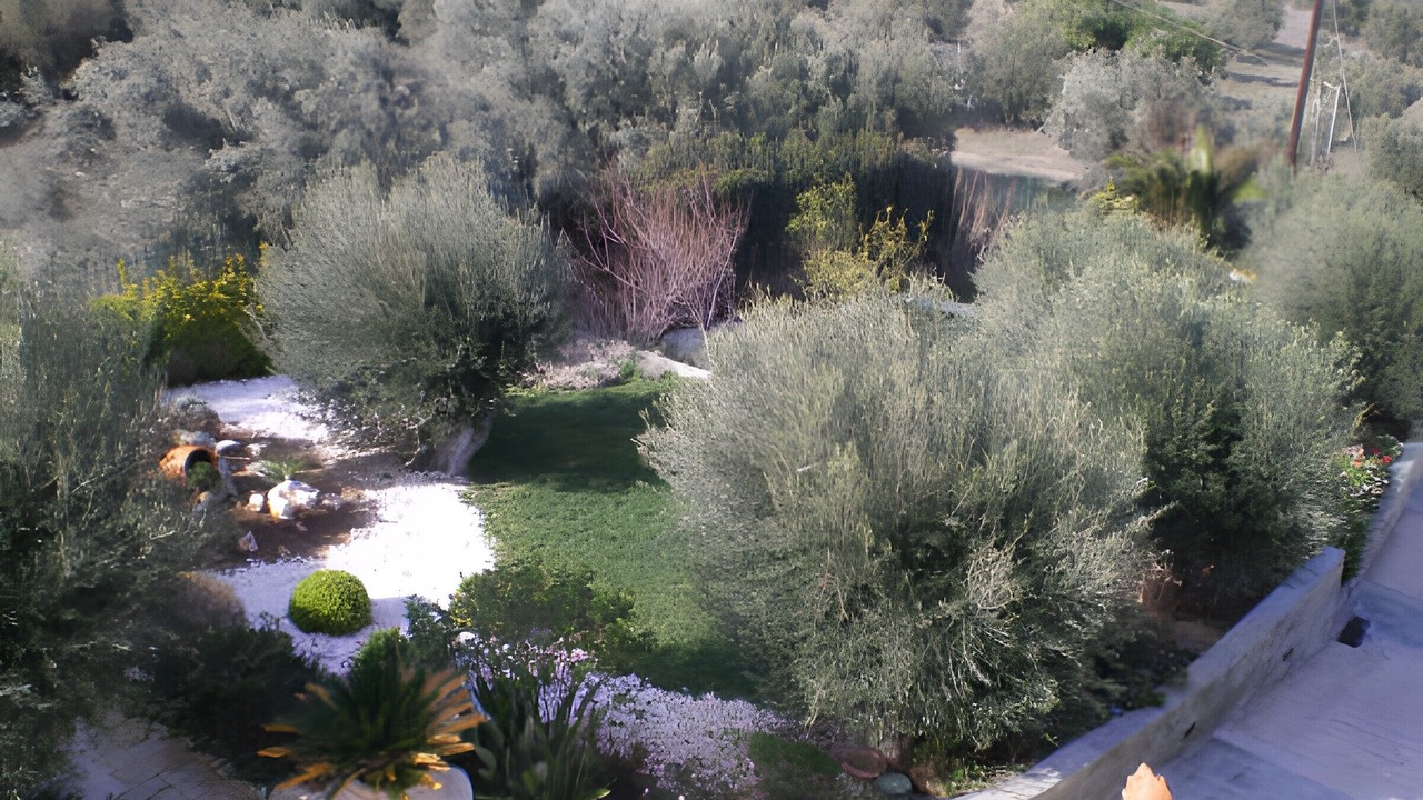 Photo of Outdoor in Limni Vouliagmenis