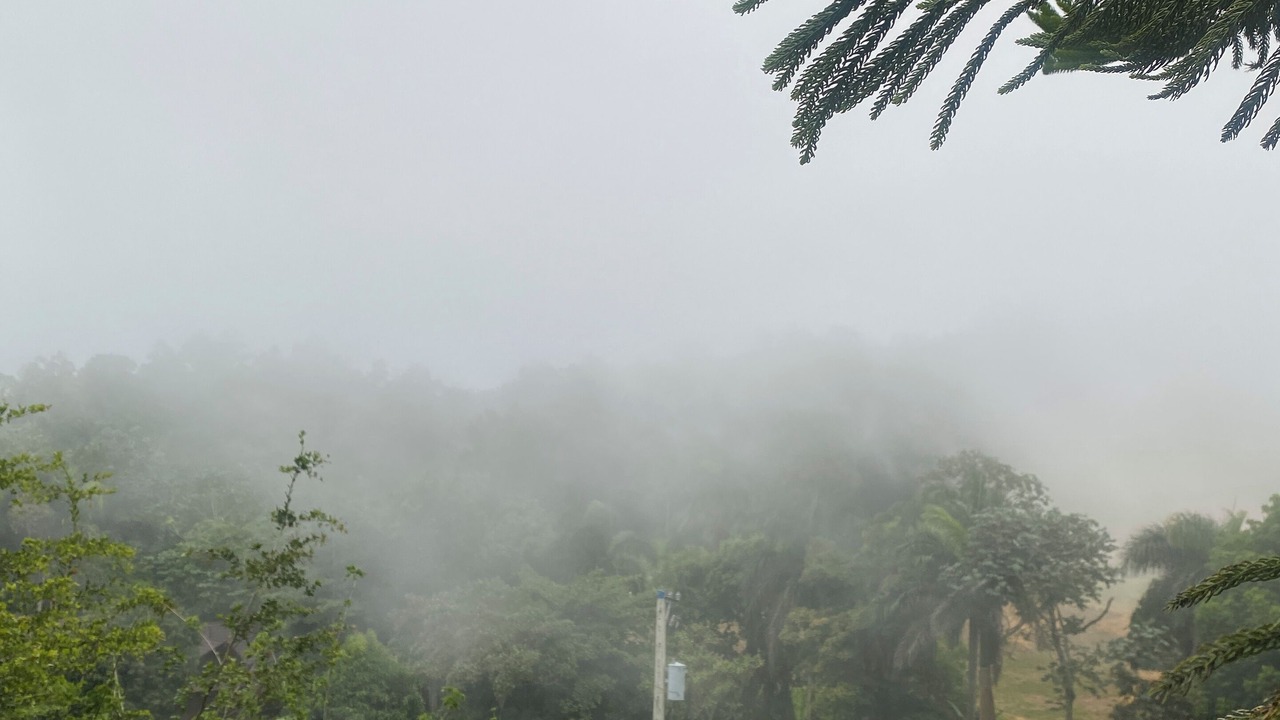 Photo of Others in Constanza