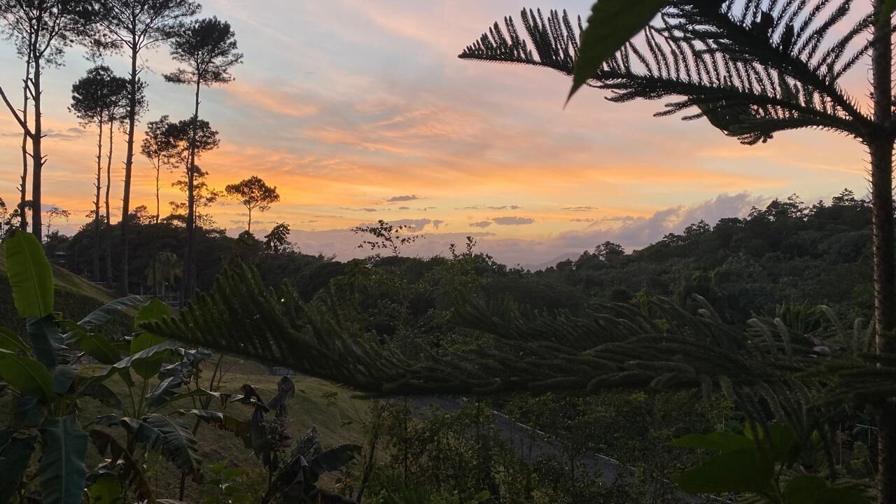 Photo of Others in Constanza