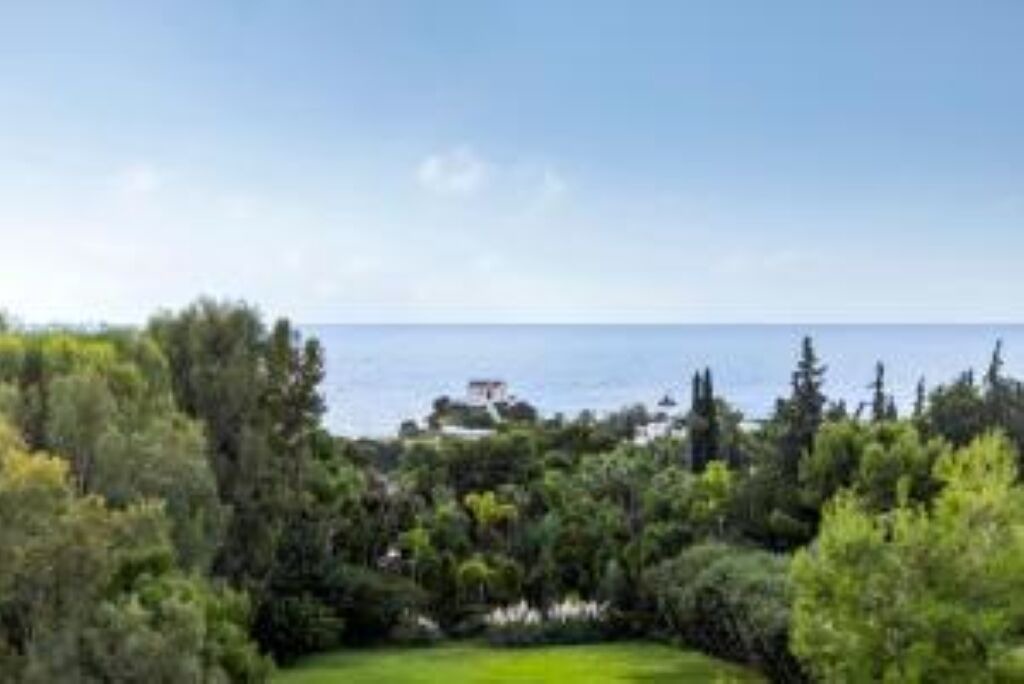 Photo of Others in Agios Emilianos