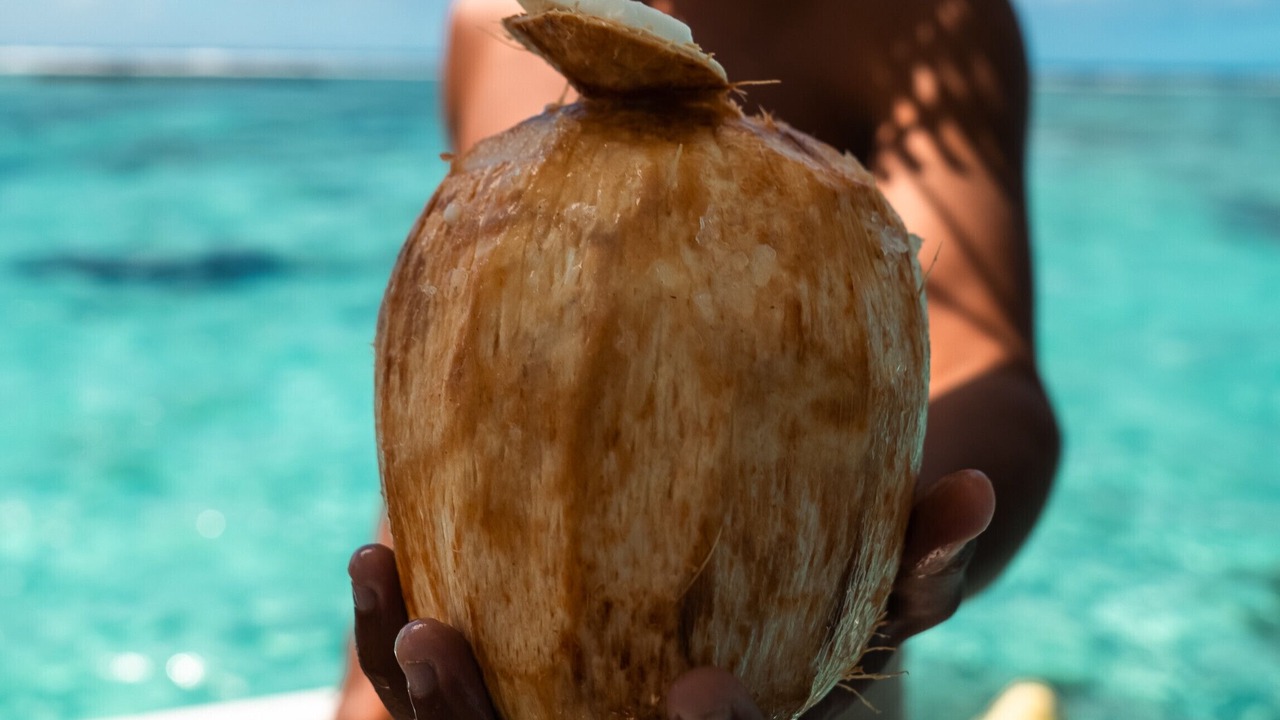 Photo of Others in Maupiti