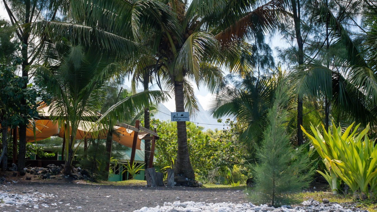 Photo of Outdoor in Papara